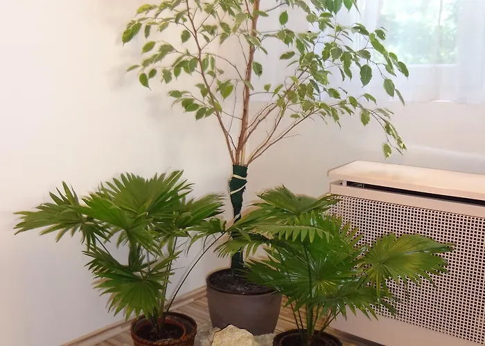 Touring 2* ナジカニジャ